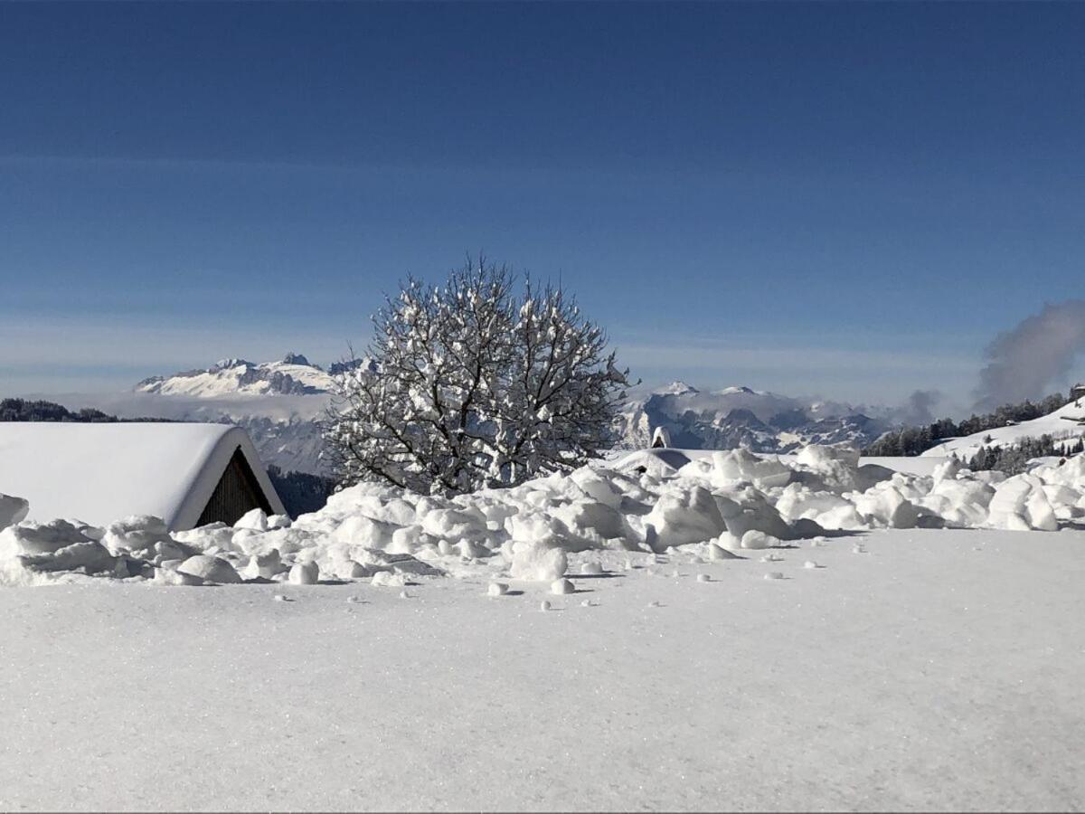 Walli Laterns - Ski Und Bergvergnuegen Direkt Vor Der Haustuer Ngoại thất bức ảnh
