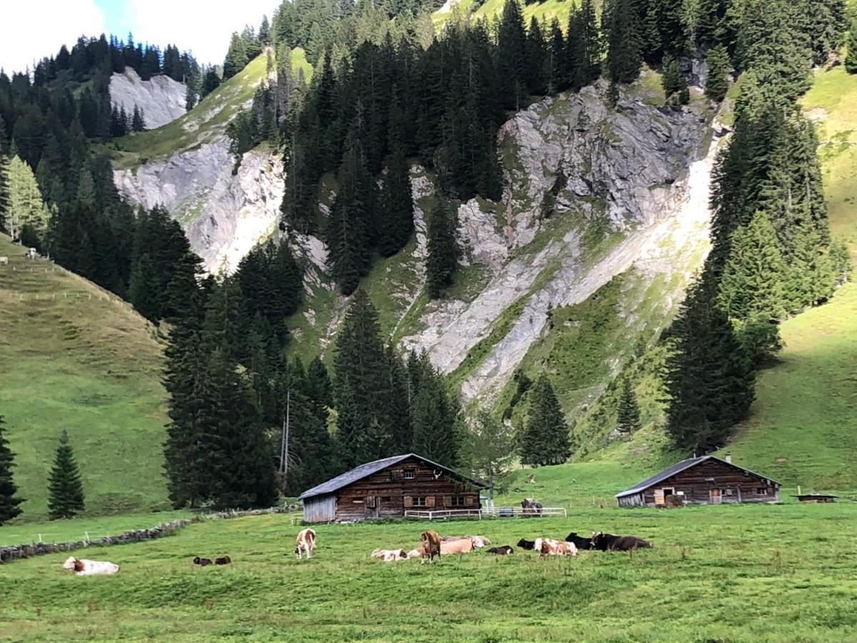 Walli Laterns - Ski Und Bergvergnuegen Direkt Vor Der Haustuer Ngoại thất bức ảnh